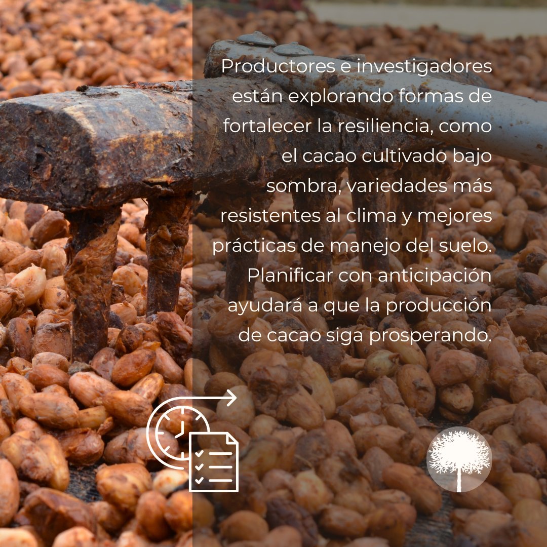 Red Semilla tweet media