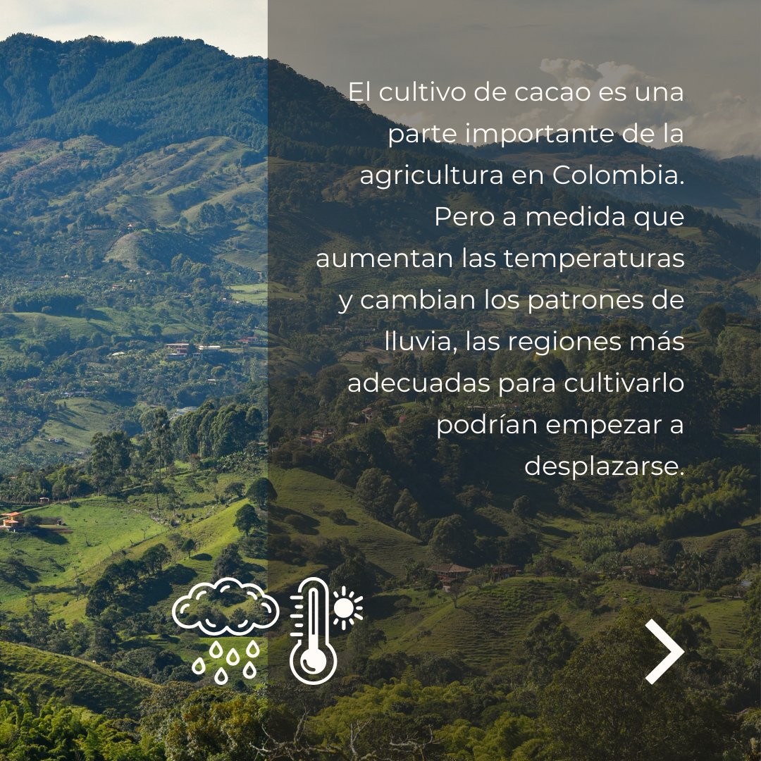 Red Semilla tweet media