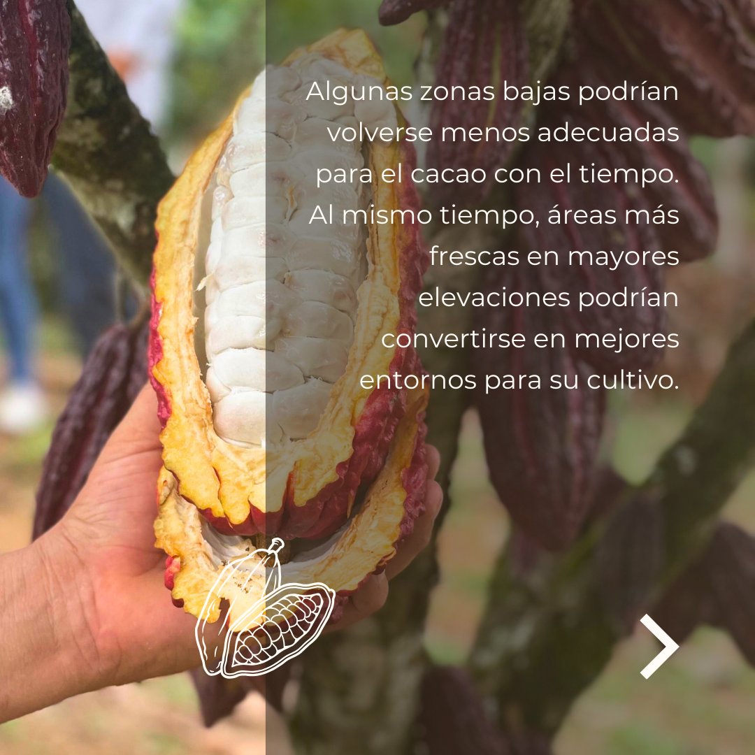 Red Semilla tweet media