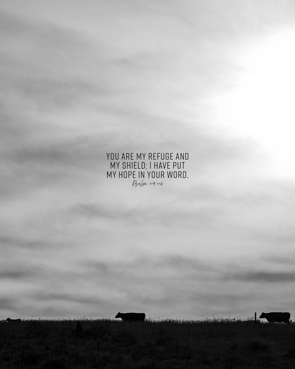 Angus Journal editor tweet media