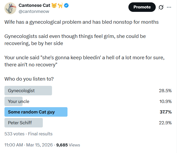 Cantonese Cat 🐱🐈 tweet media