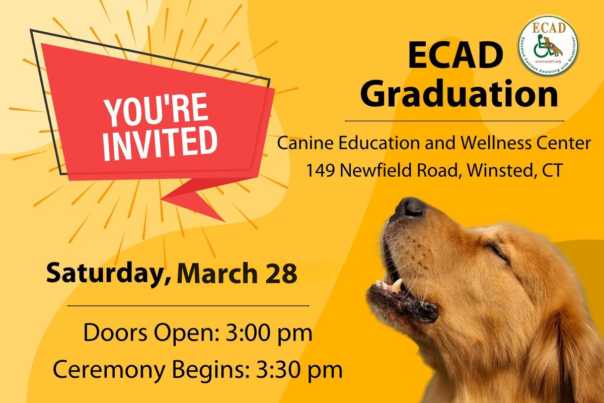 ECAD Service Dogs tweet media