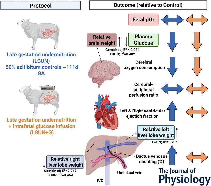 Journal of Physiology tweet media