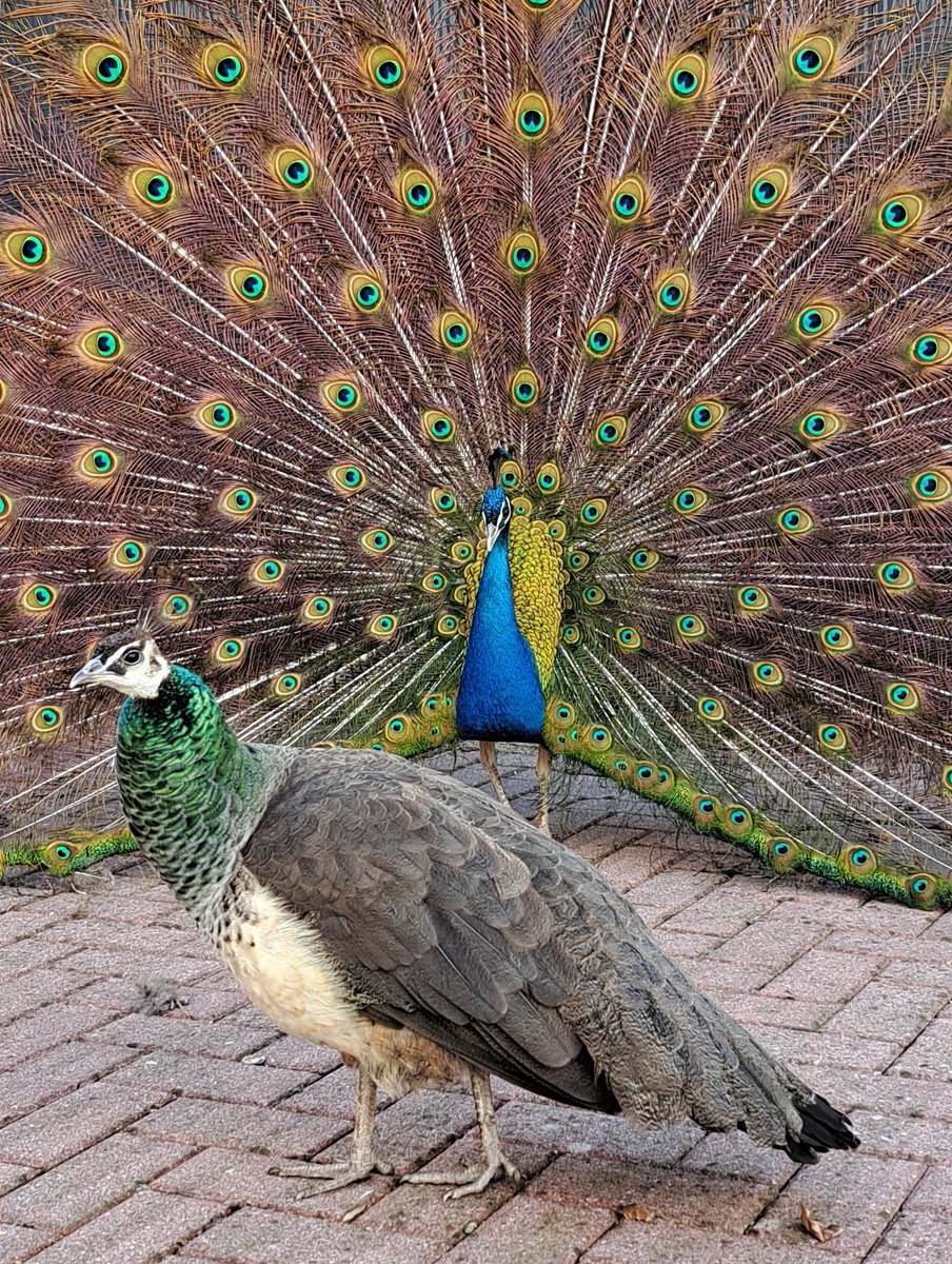 Anders Lundgren tweet media