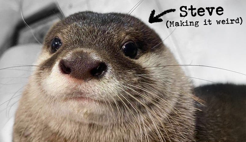 Molly Hatchet-Lindstrom tweet media