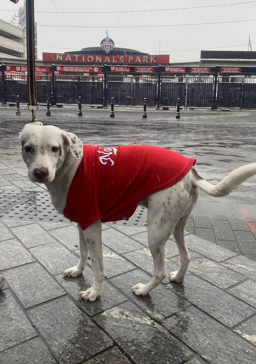 Dan Kolko tweet media