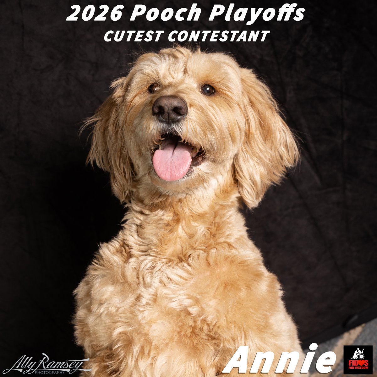 Fidos For Freedom tweet media