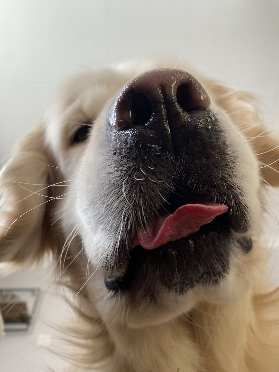 Chris Sharpe tweet media