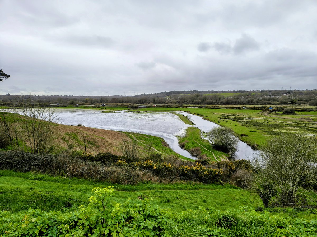 Roger Treeby tweet media