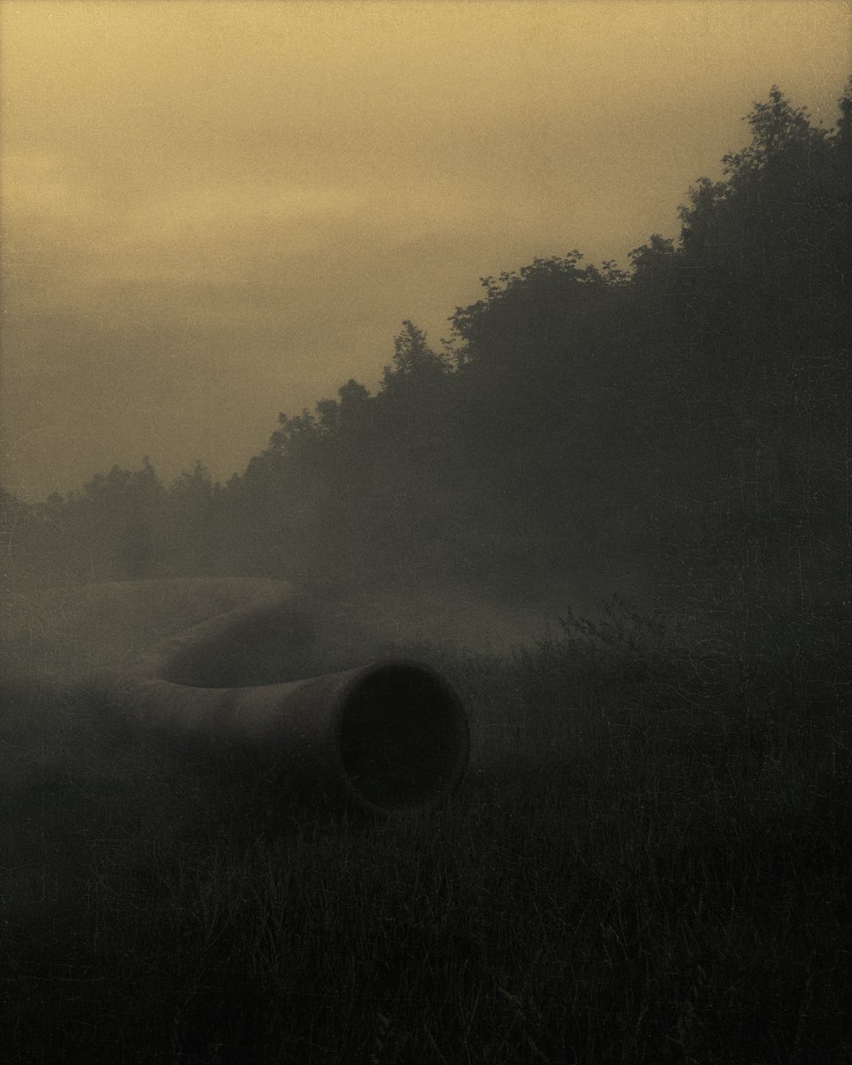 ʰᵘˡᵉᵉᵇ tweet media