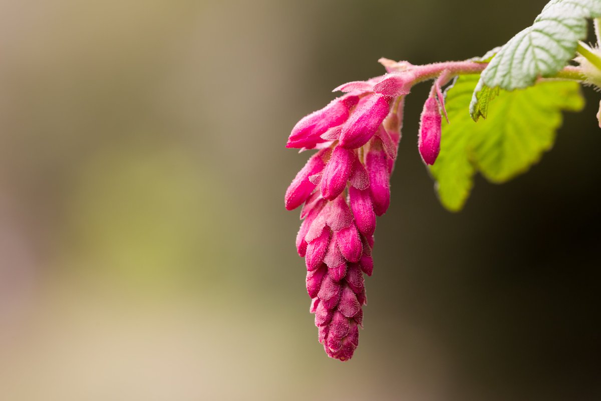 Gordon England tweet media