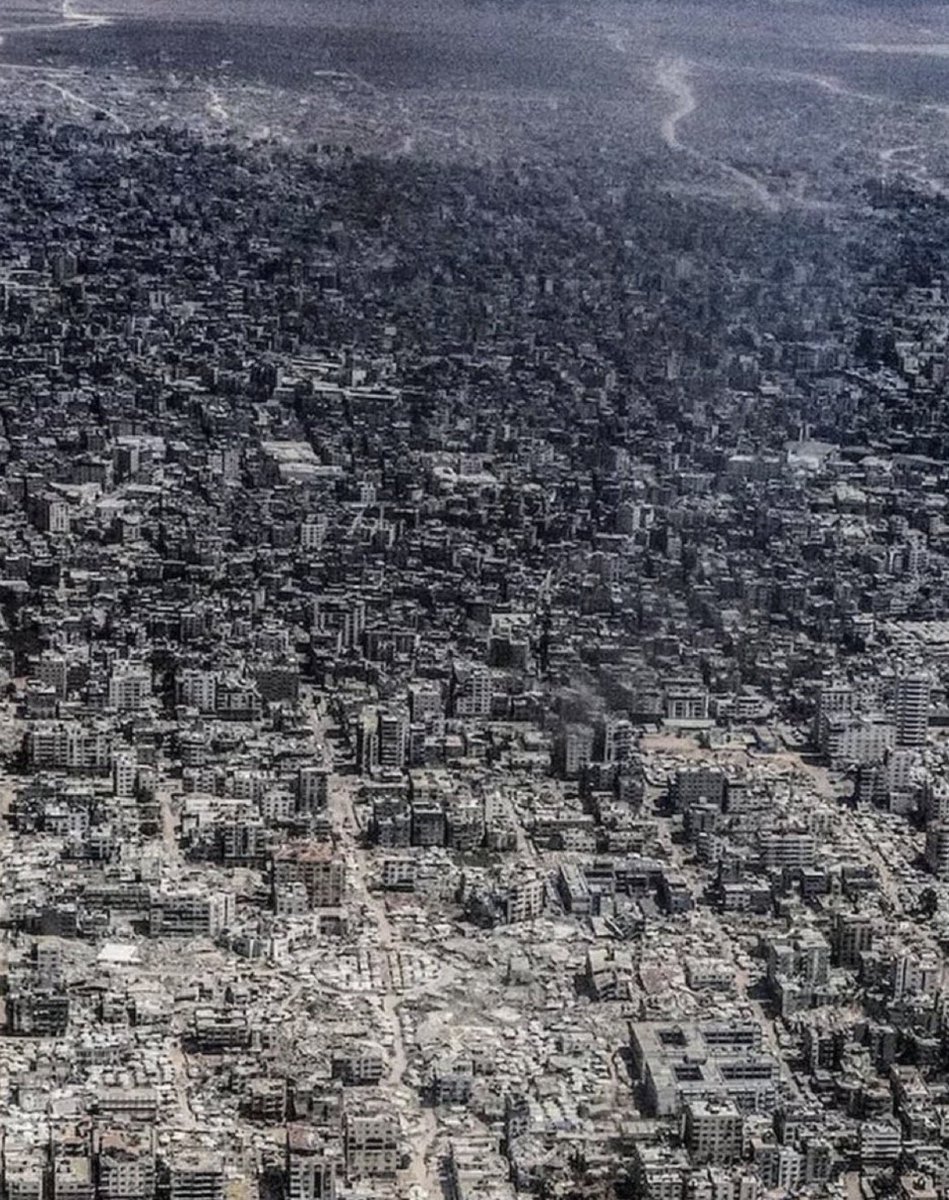 Compute The Resistance™️🍉 tweet media