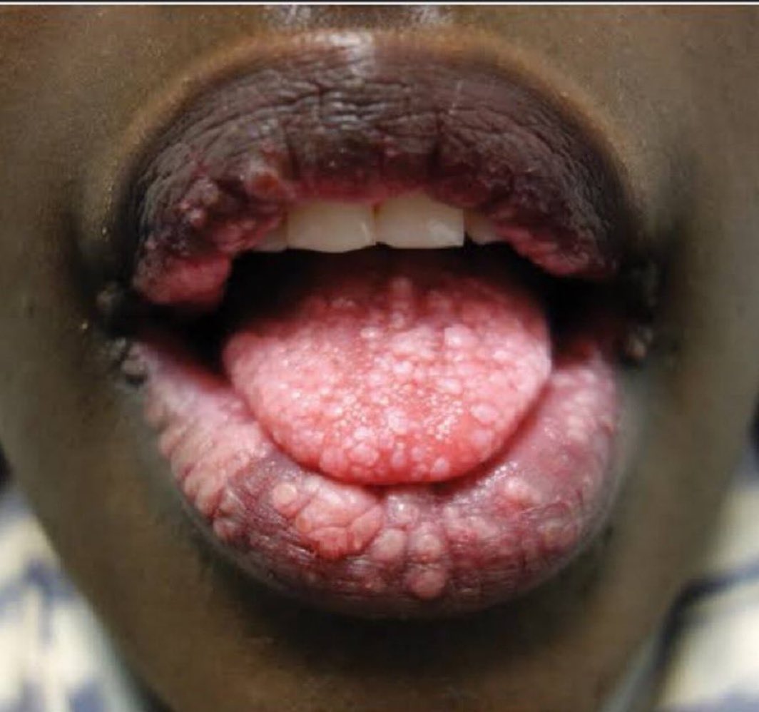 The spirit surgeon wellness tweet media