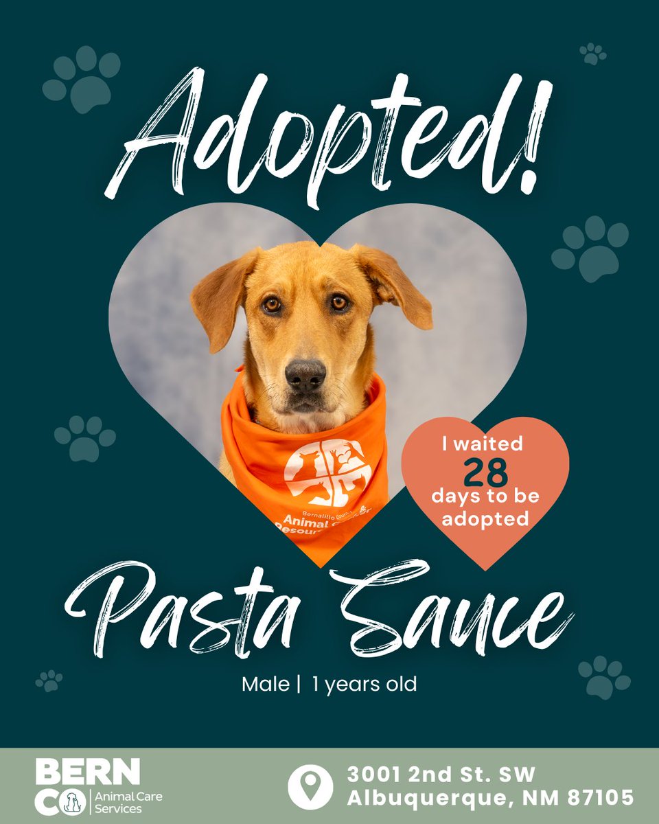 Bernalillo County Animal Care and Resource Center tweet media