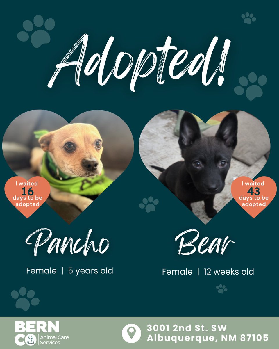 Bernalillo County Animal Care and Resource Center tweet media