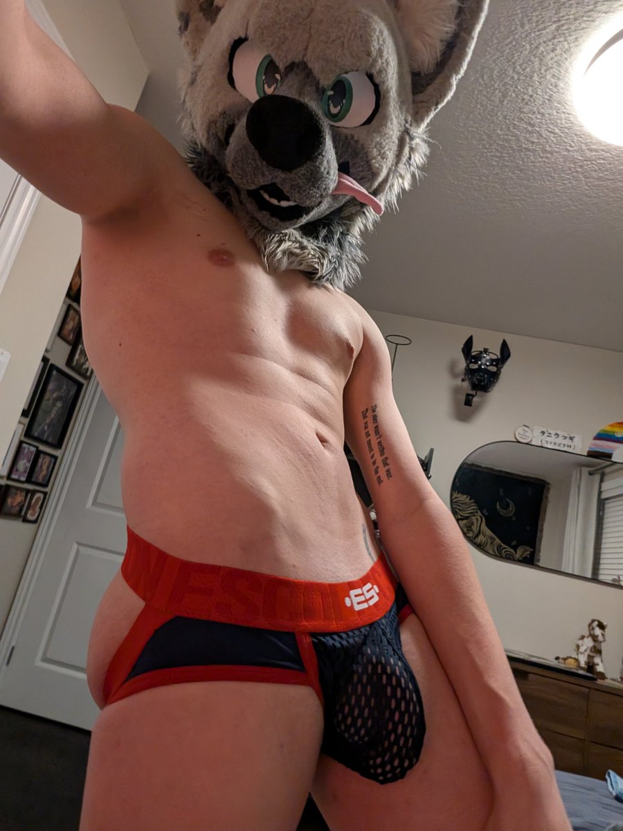 Board At Night 🔜 FurFactory and FE tweet media