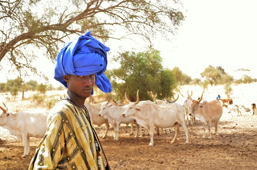 IPAR_Think-Tank 🇸🇳 tweet media