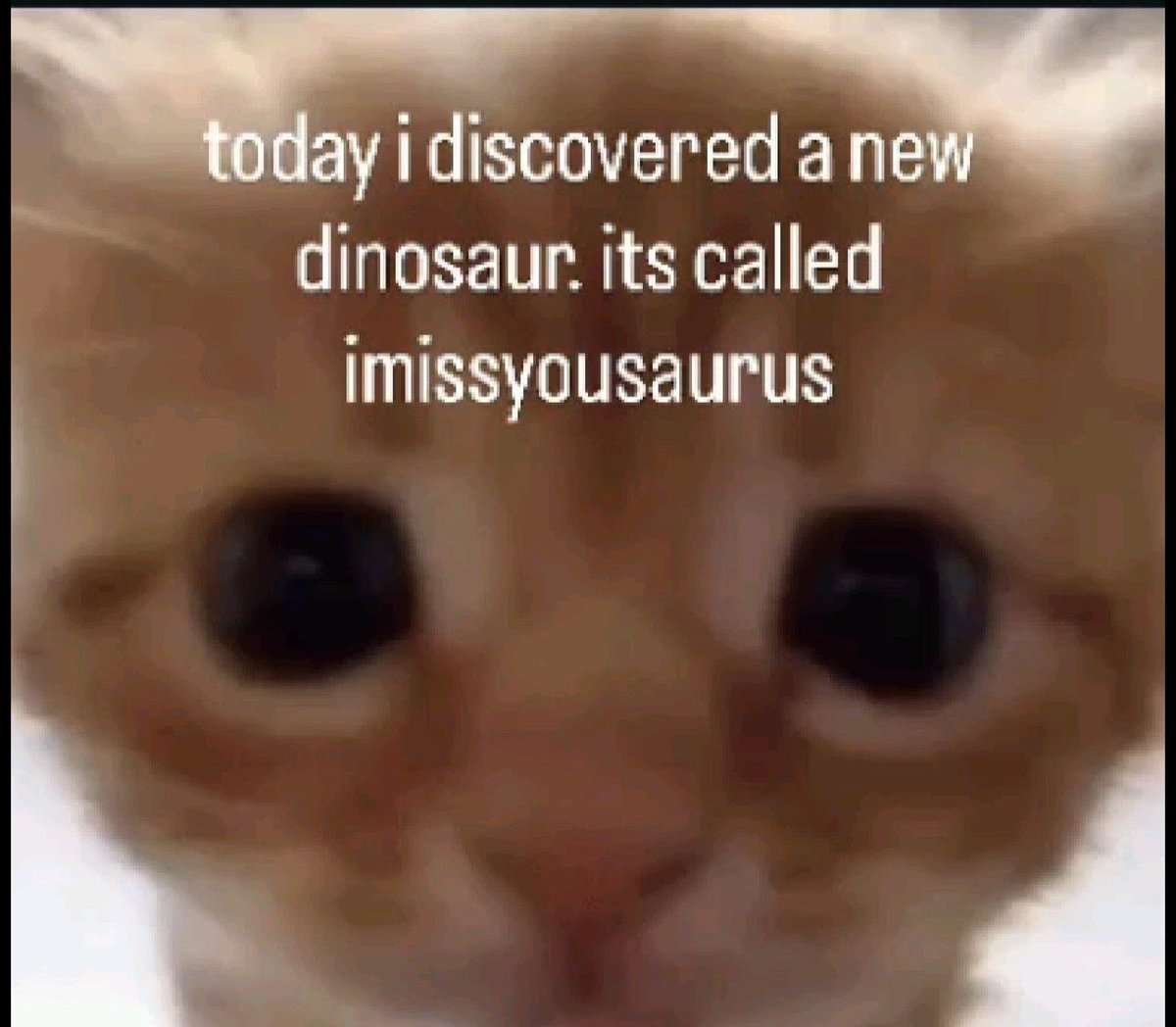 Becky Armstrong tweet media