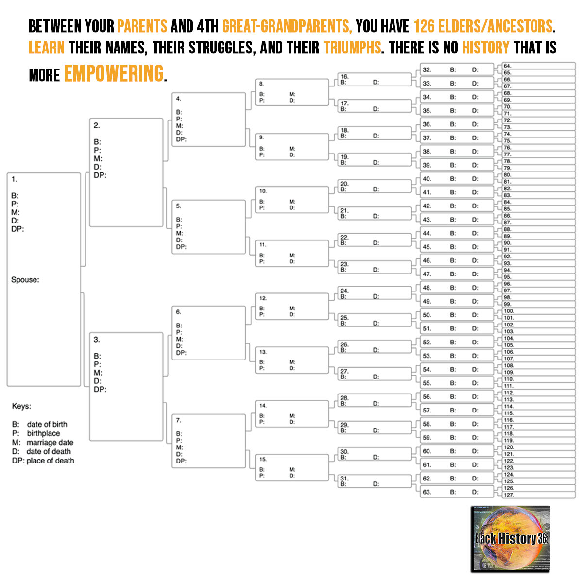 Black History 365 tweet media