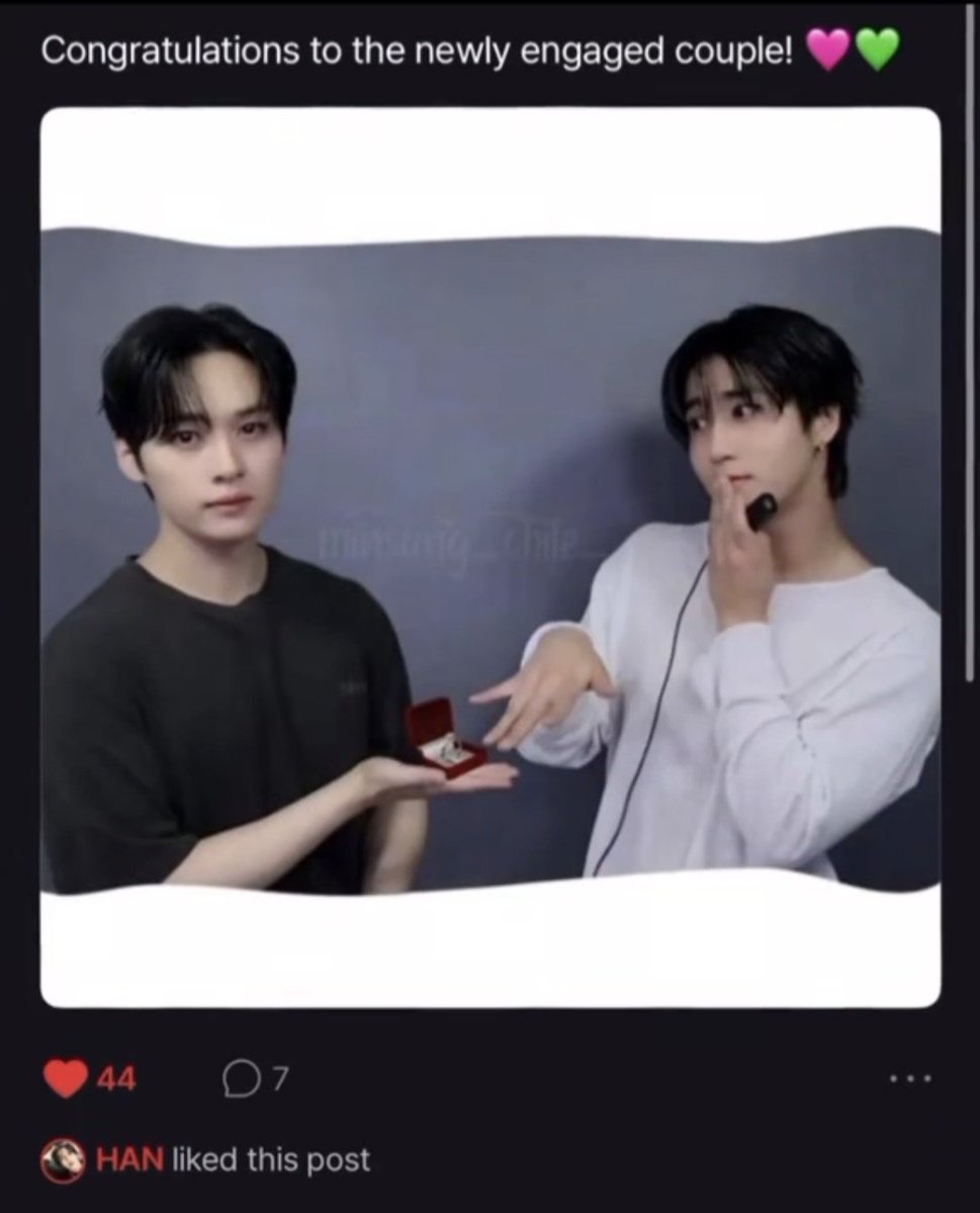 "dont ship your idols!" 
the idols in question: