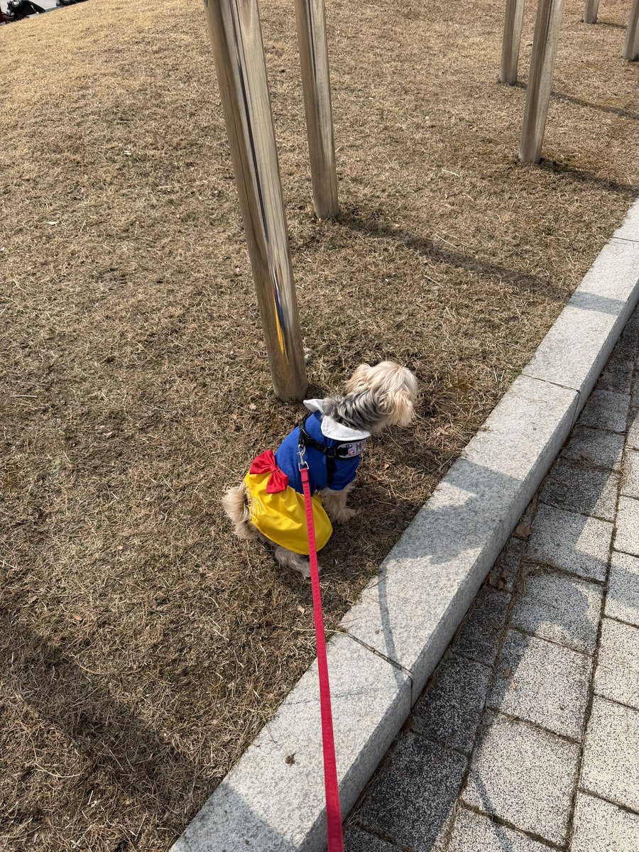 희쁨ᰔᩚ tweet media