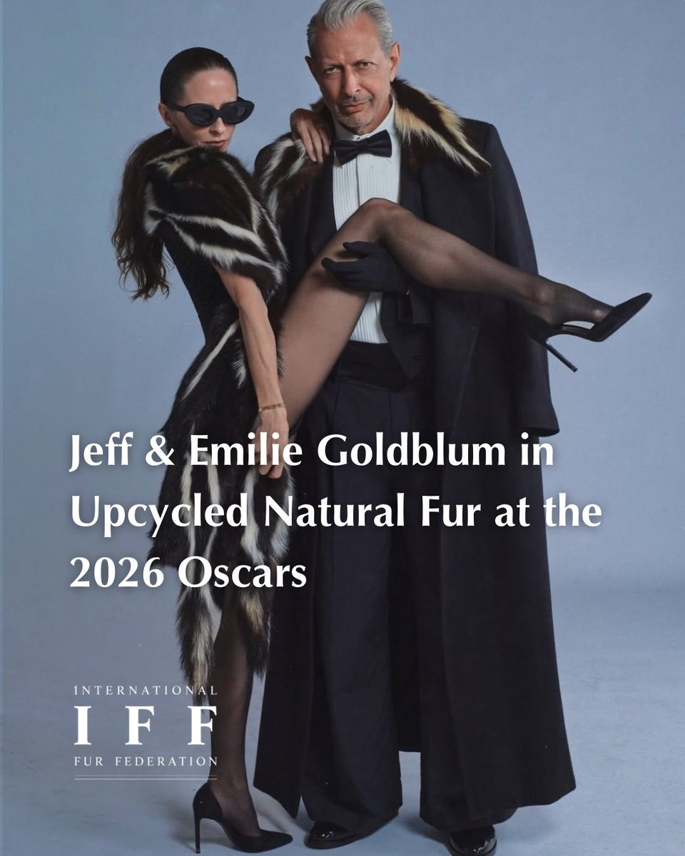 International Fur Federation tweet media