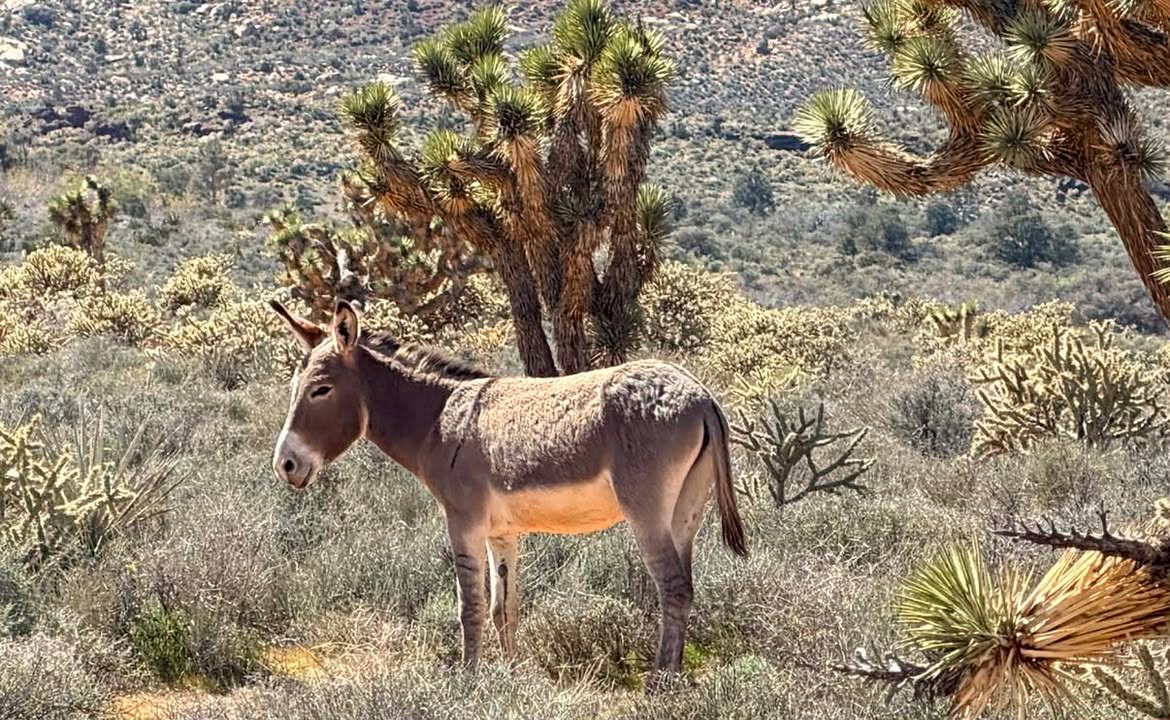 Kevin Janison tweet media