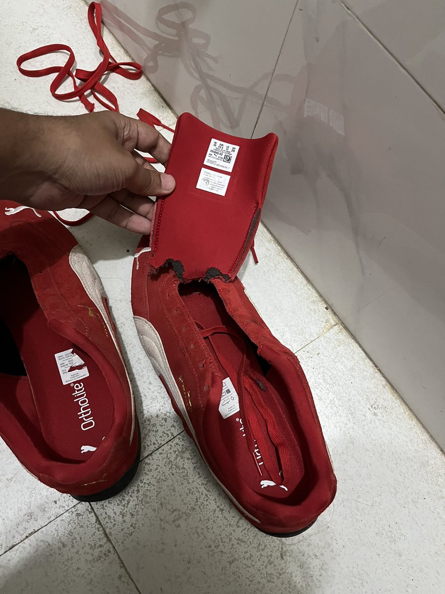 Sanddeep43's tweet photo. Yesterday was a really sad day. I found out that a big-ass rat ate my only favorite shoes. 🐀😭😭😭🥀🥀
It’s a sad day I’ll never forget.
Those shoes were very special to me because I bought them for myself after a long wait. https://t.co/LBvmwnMslB