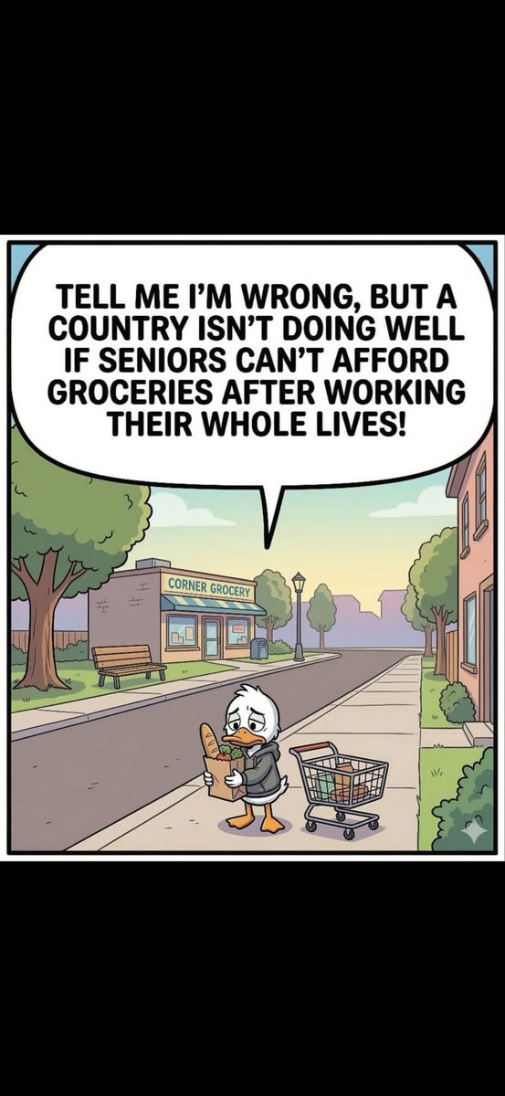 Primrose tweet media