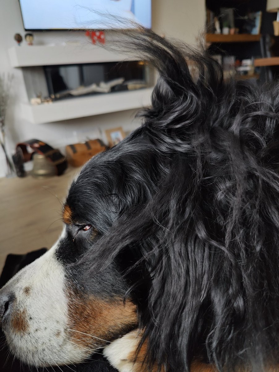 Brie's World 🌍🇬🇧🇨🇭 tweet media