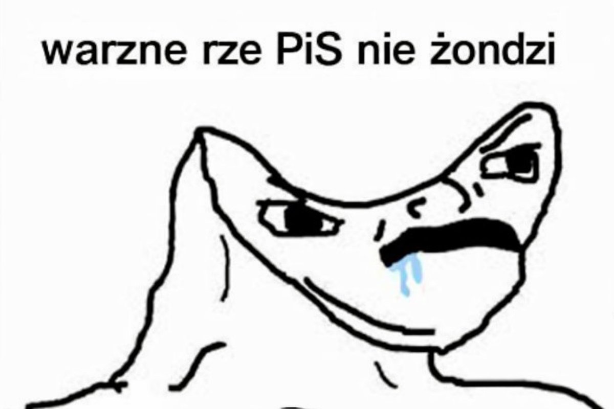 Leonidas 🇵🇱✝️ tweet media