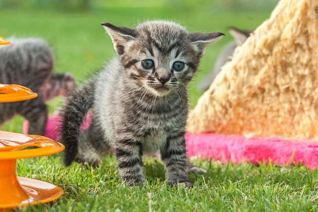 Jessica Snider tweet media