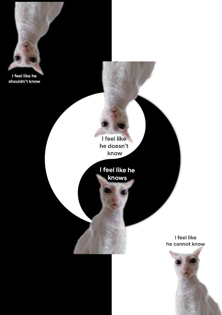 Rockatansky tweet media