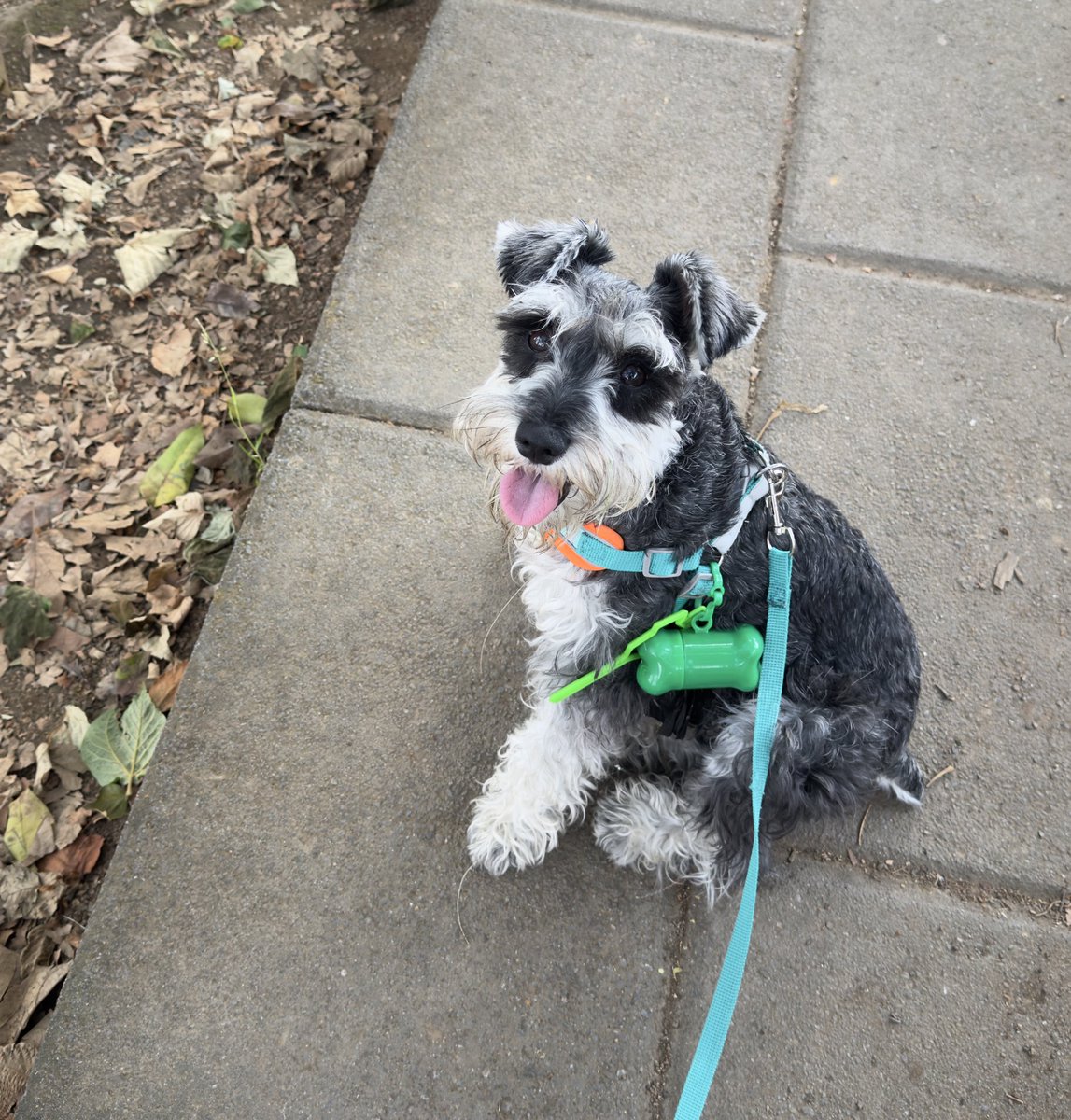 Danae 🤠🐮 tweet media