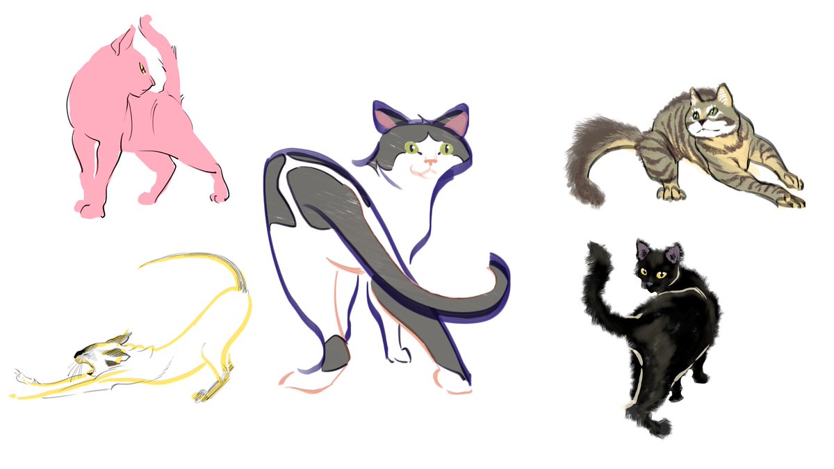 Bocetillos de mininos / Cat sketches