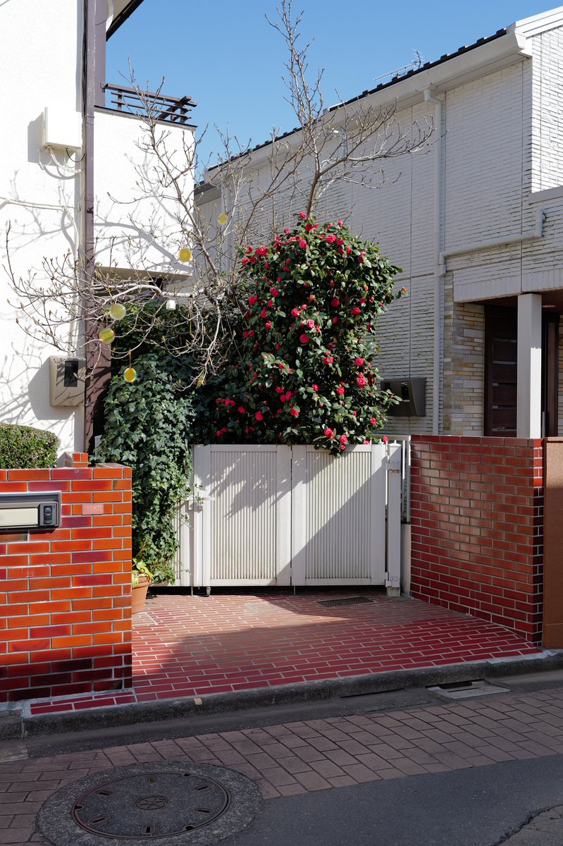 めいむら tweet media