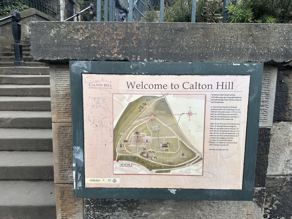 nida 𓃹 tweet media