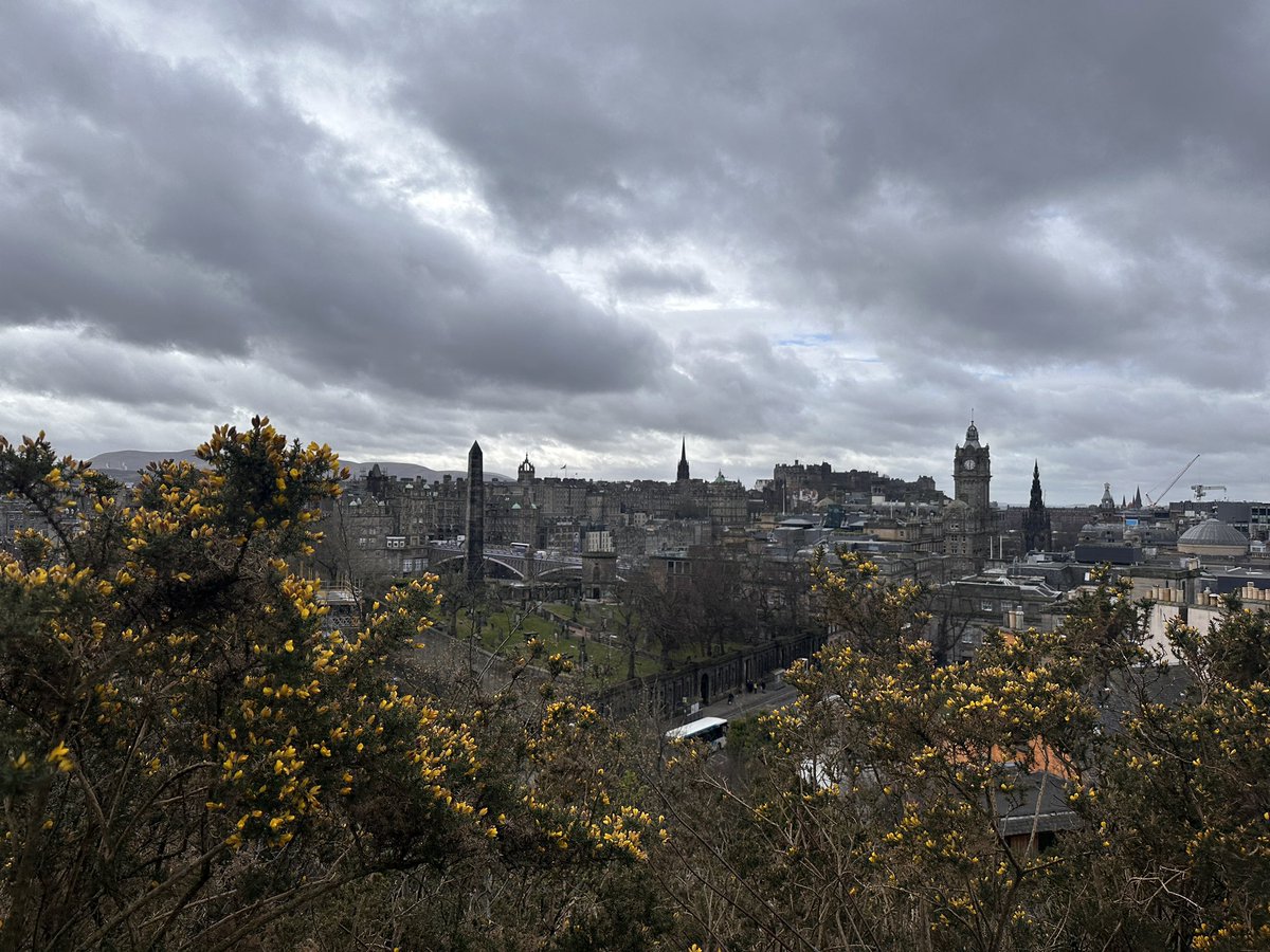 nida 𓃹 tweet media