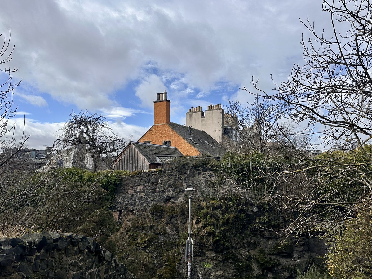 nida 𓃹 tweet media