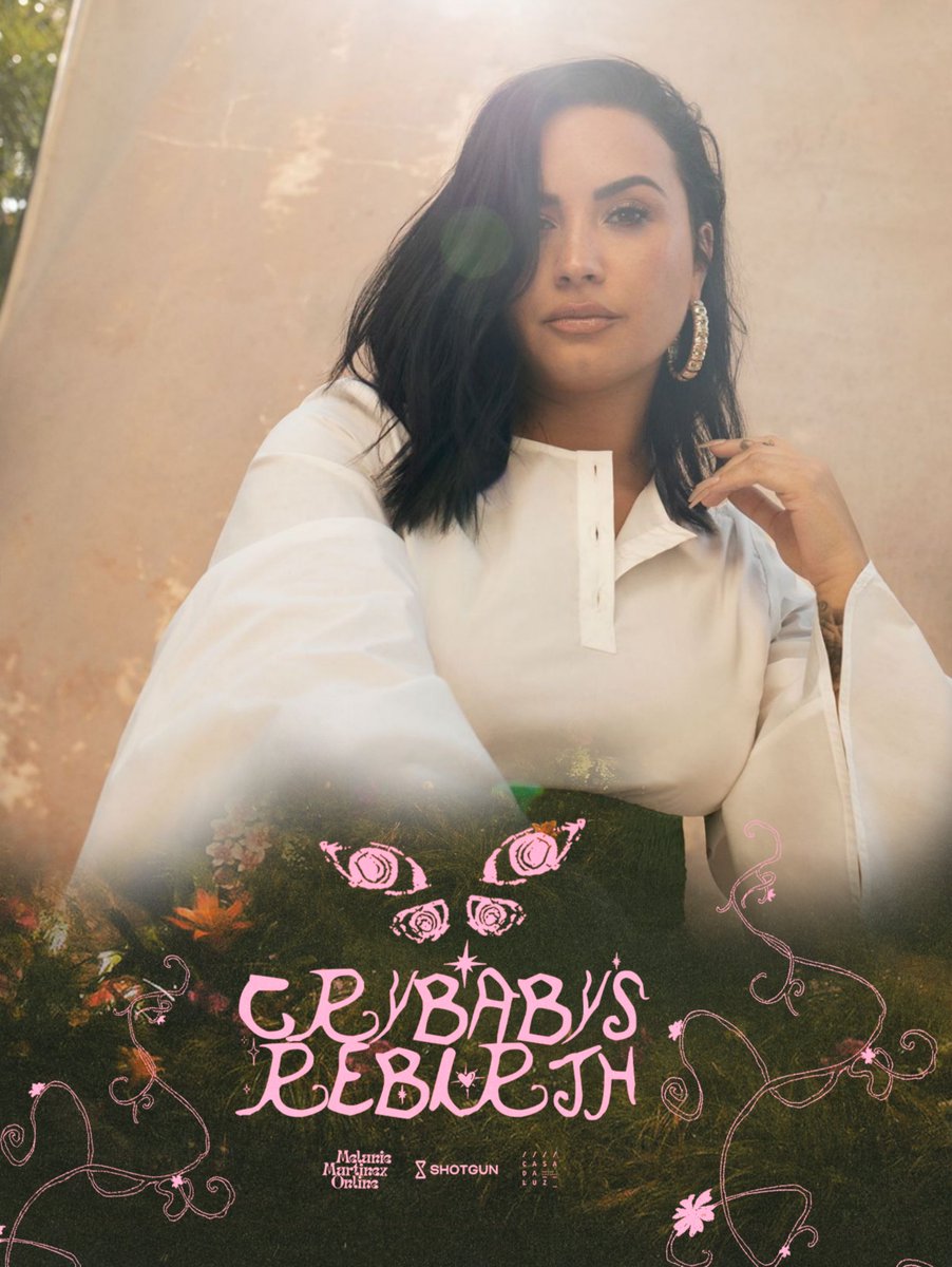 acervo demi lovato tweet media