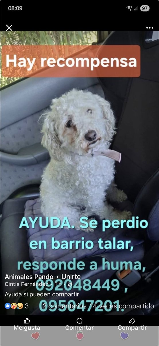 Adriana43587622's tweet photo. https://t.co/ucCSdrqLsB