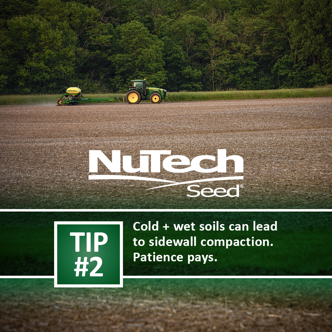 NuTech Seed tweet media