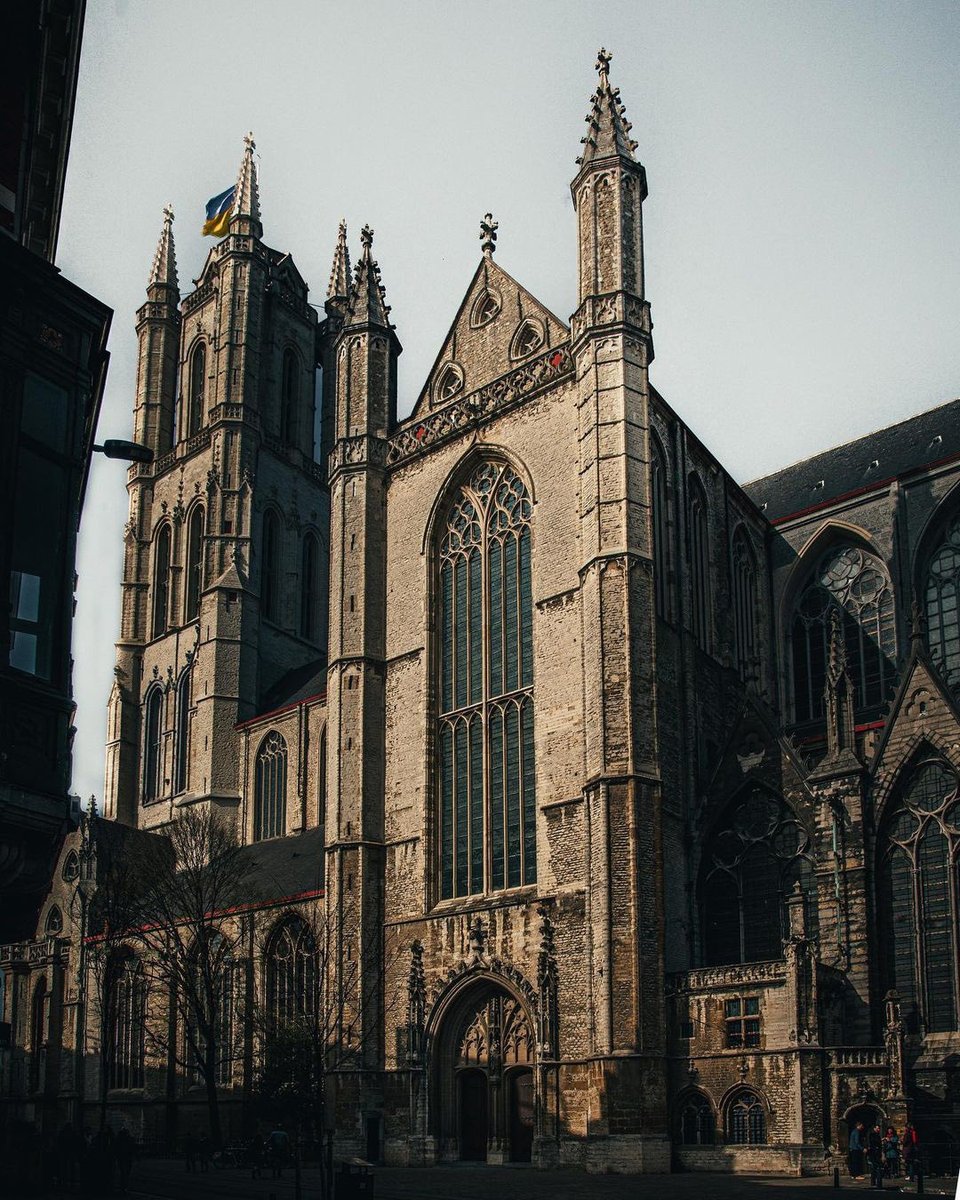 Old World Explorer tweet media