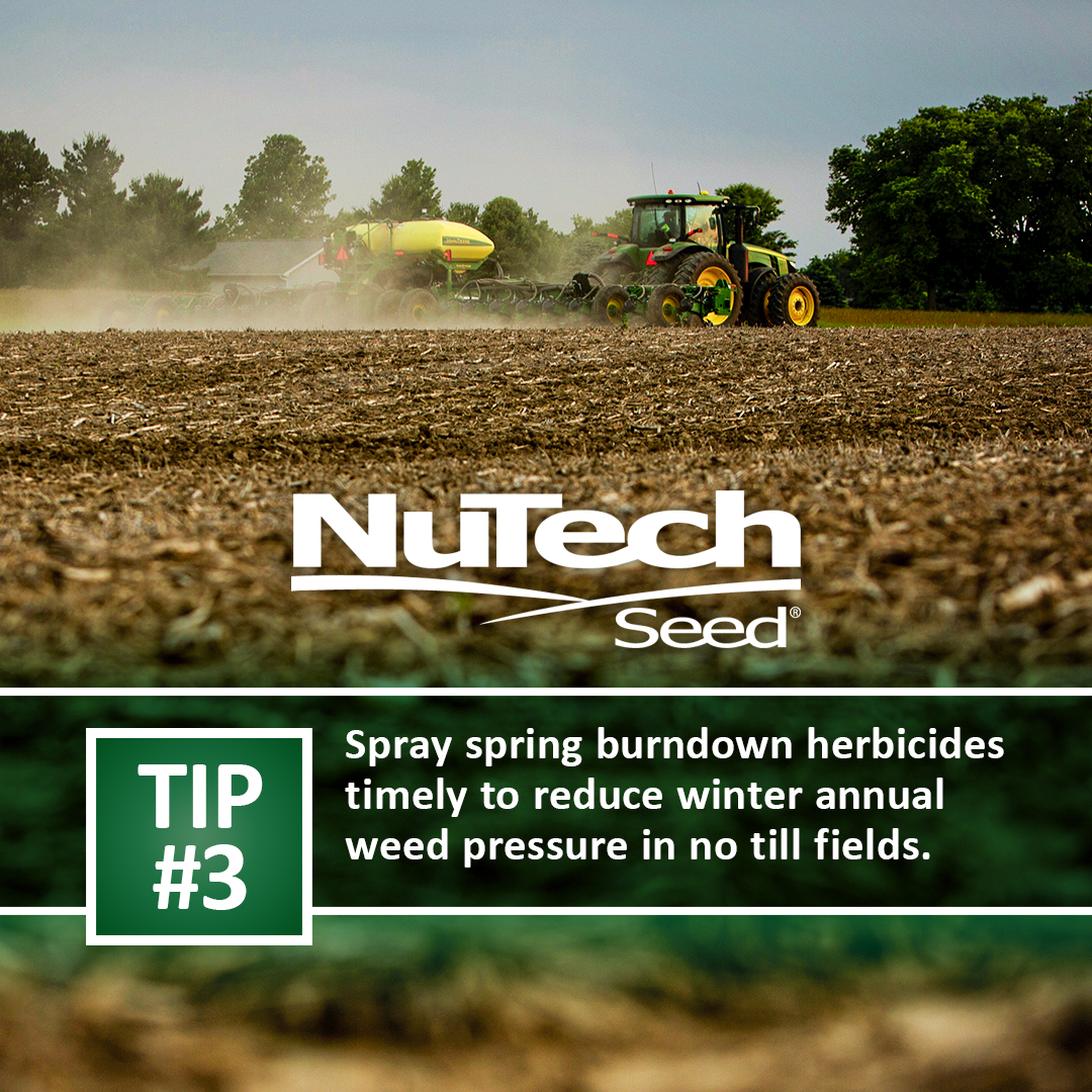 NuTech Seed tweet media