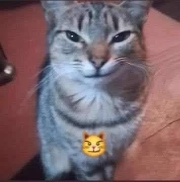 Bubi๐ฅ tweet media