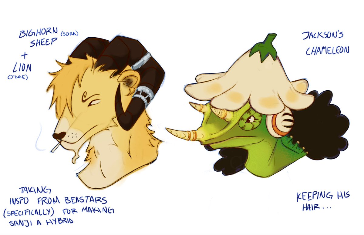 freakchiow's tweet image. Back to this, not so much beastars actually but still… more some other day bcs they’re silly #sanji #usopp