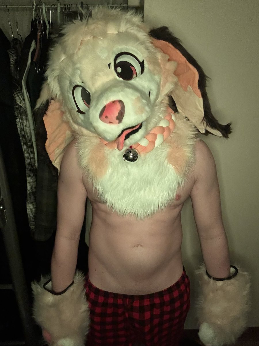 LemonHoneyMutt 🔜FWA tweet media