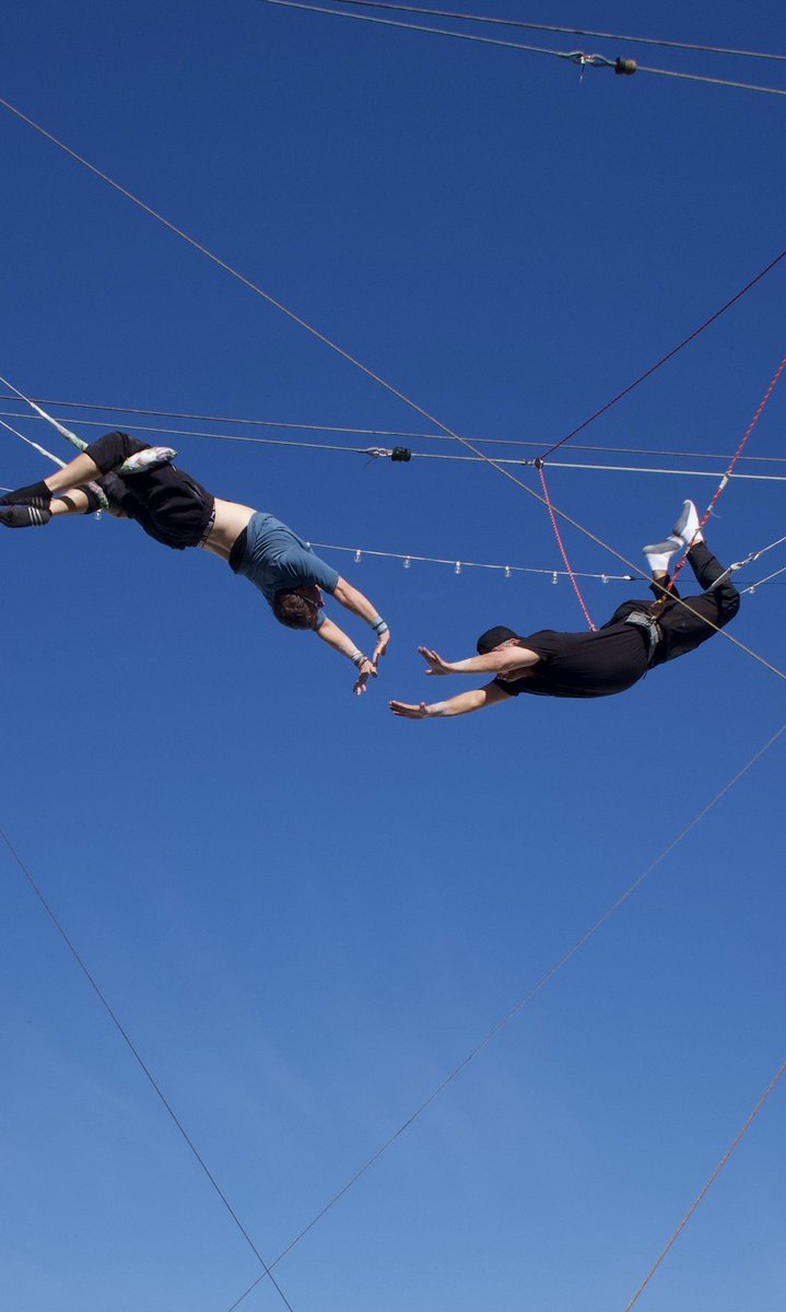 Boston Rob tweet media