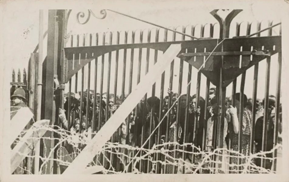 Rebecca Calderon tweet media