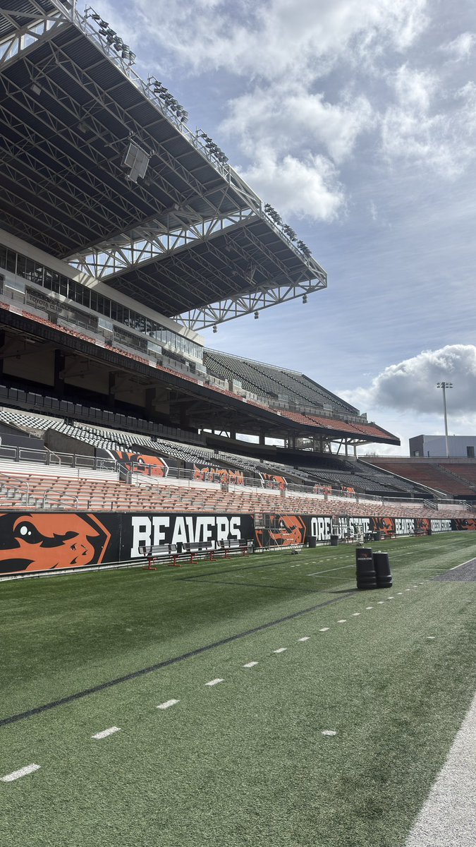 Cavan Rogers tweet media